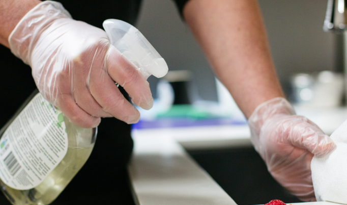 Sanitex Clear Vinyl 4 mil Industrial Gloves - Powder Free - 100/BX - 10BX/CS - Case of 1000 Gloves