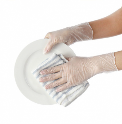 Sanitex Clear Vinyl 4 mil Industrial Gloves - Powder Free - 100/BX - 10BX/CS - Case of 1000 Gloves